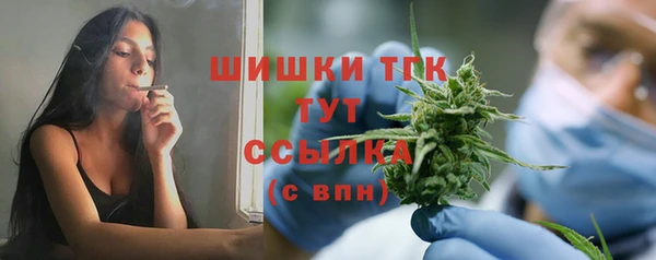 крисы Новый Уренгой