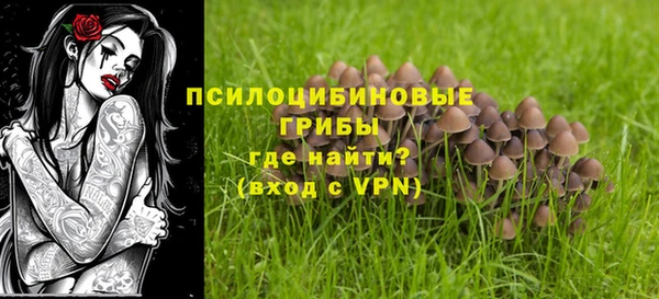 СК Артём